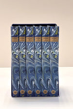Masnavi Series of Rumi - English