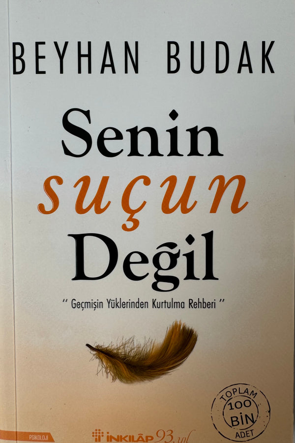 Senin Suçun Degil