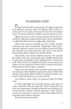 SESSİZ ÇIĞLIKLAR | Z Kuşağı Romanı