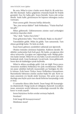 SESSİZ ÇIĞLIKLAR | Z Kuşağı Romanı